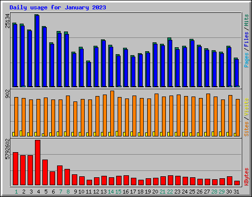 Daily usage for January 2023