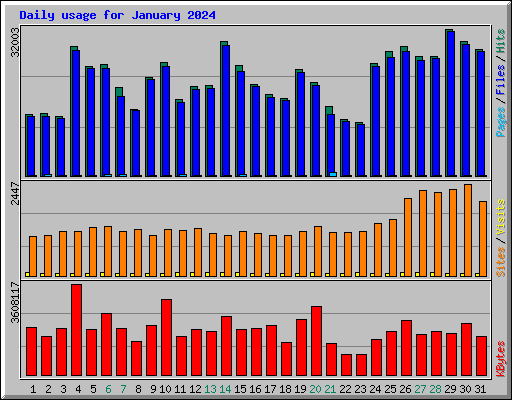 Daily usage for January 2024