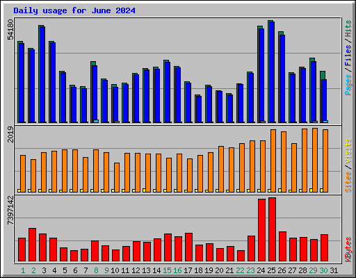 Daily usage for June 2024