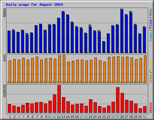 Daily usage for August 2024