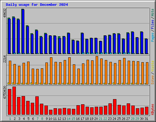Daily usage for December 2024