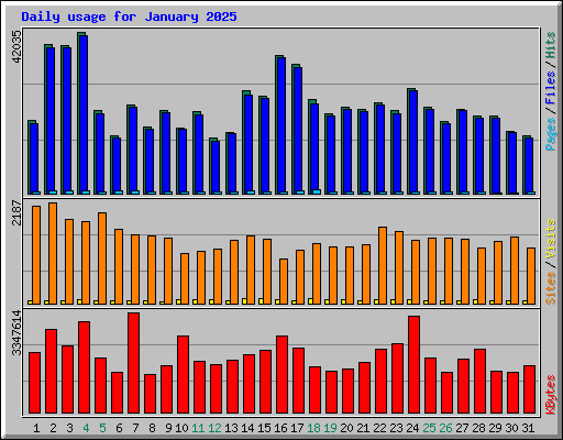 Daily usage for January 2025