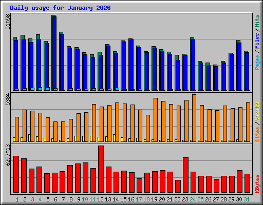 Daily usage for January 2026