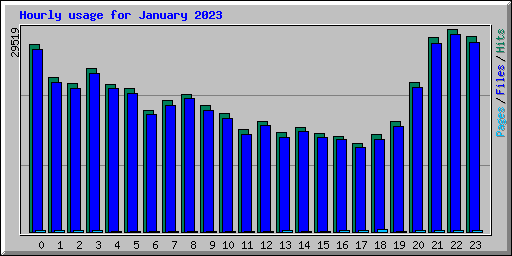 Hourly usage for January 2023