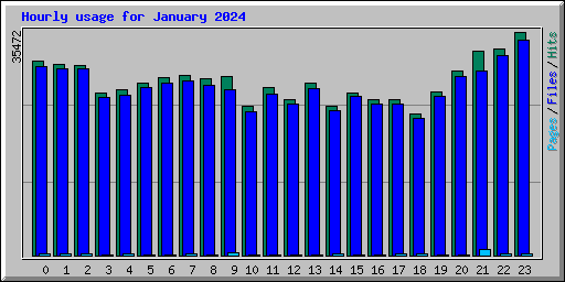 Hourly usage for January 2024