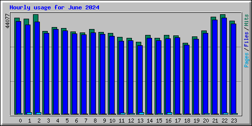 Hourly usage for June 2024