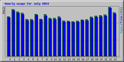Hourly usage for July 2024