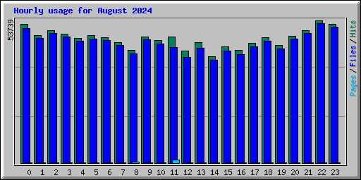 Hourly usage for August 2024
