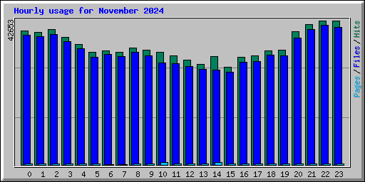 Hourly usage for November 2024