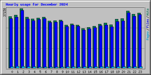 Hourly usage for December 2024