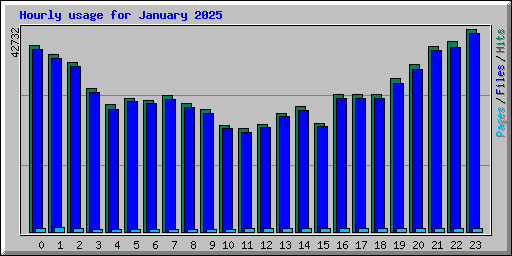 Hourly usage for January 2025