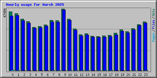 Hourly usage for March 2025