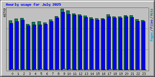 Hourly usage for July 2025