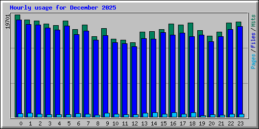 Hourly usage for December 2025