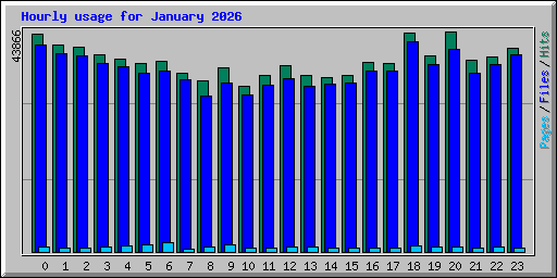 Hourly usage for January 2026